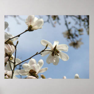 Poster LA JOURNÉE DE LA MÈRE OFFRE DES Fleurs D'Arbre D'A