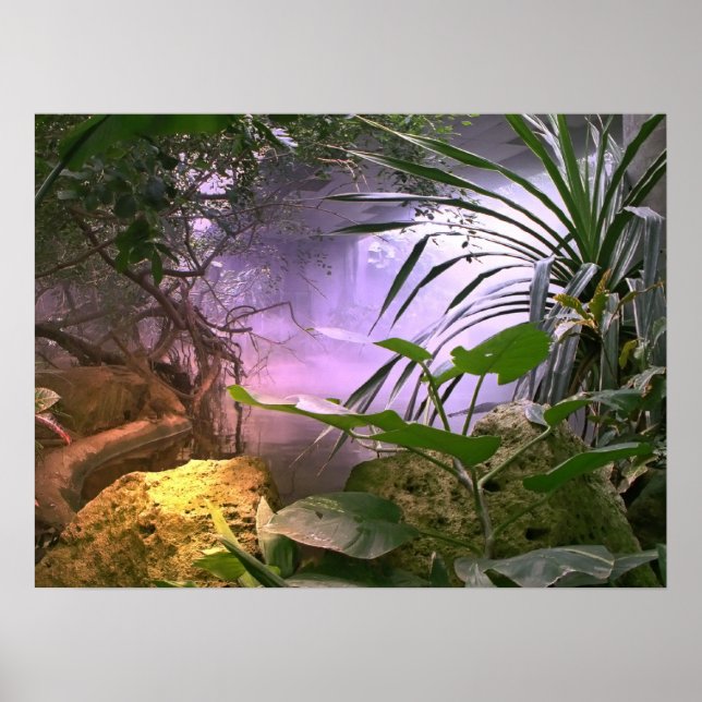 Poster La Jungle (Devant)