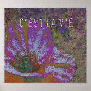 Poster La La de C'est luttent l'affiche de pavot