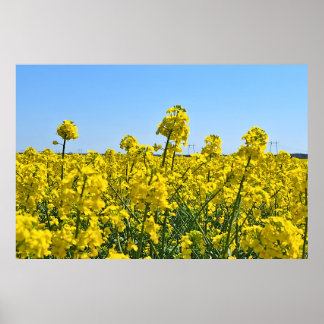 Poster La ligne d'horizon - Couleurs de la nature sauvage