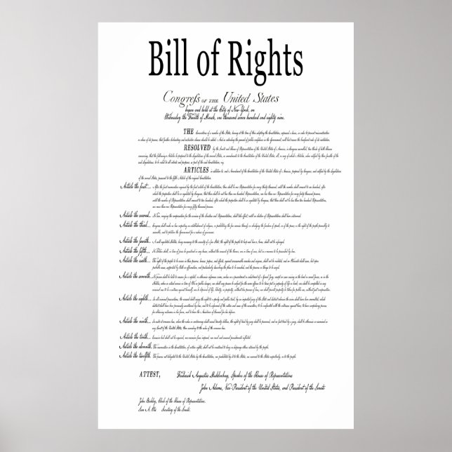 POSTER LA LOI AMÉRICAINE SUR LES DROITS DES BLANCS CLASSI (Devant)