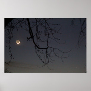 Poster La Lune et le mercure