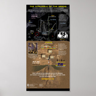 Poster La lutte des semences