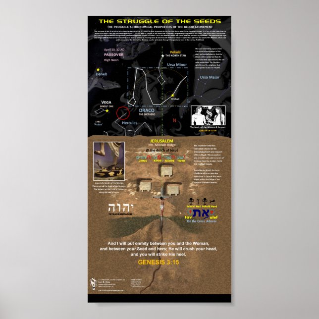 Poster La lutte des semences (Devant)