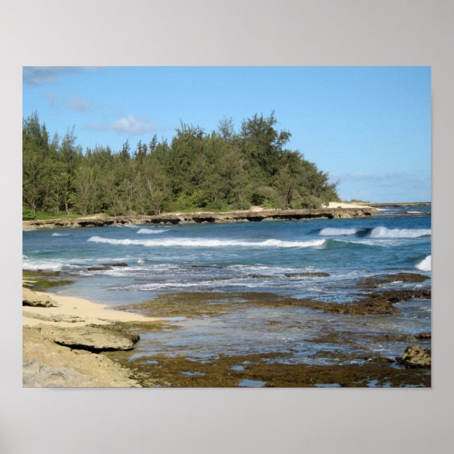 Poster La magnifique baie de tortues à Oahu Hawaii (Devant)