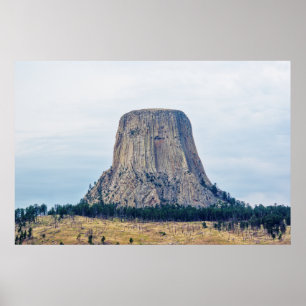 Poster La maison de l'ours