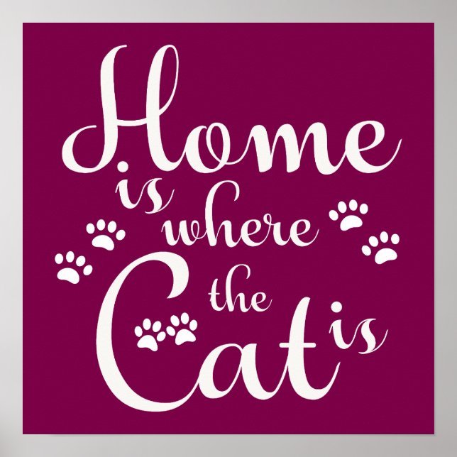 Poster La maison est là où le chat est de petites pattes (Devant)