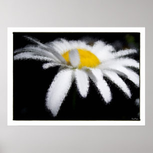 Poster La marguerite dans le noir