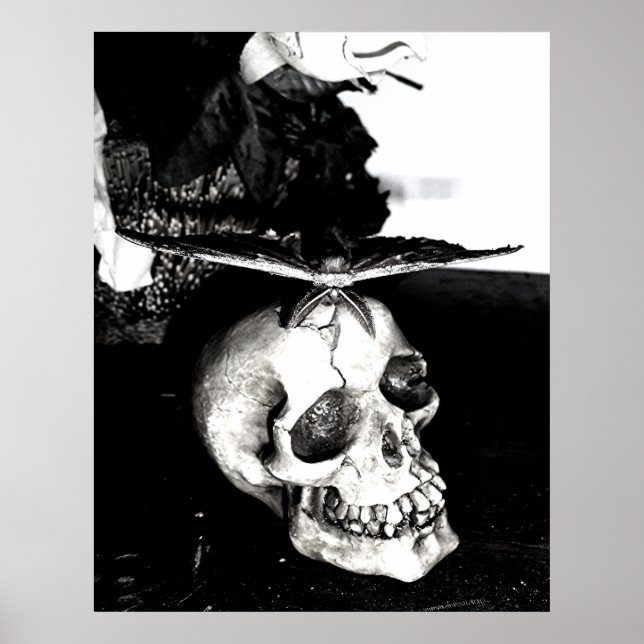 Poster La mite sur un crâne (Devant)