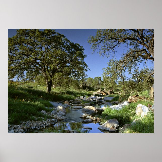 Poster La nature captivante (Devant)
