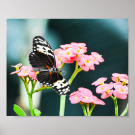 Poster La Nature Des Papillons Insecte Les Fleurs Roses
