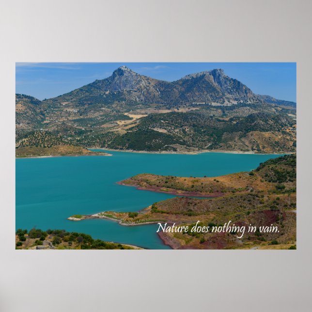 Poster La nature ne fait rien en vain (Devant)