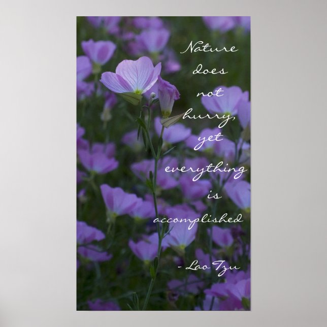 Poster "La nature ne se presse pas" (Devant)