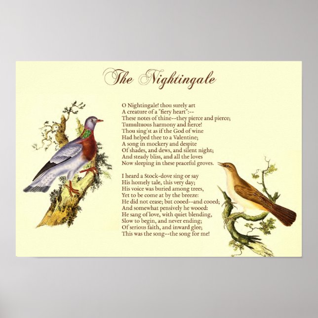 Poster "La Nightingale" de Wordsworth - Art Print (Devant)