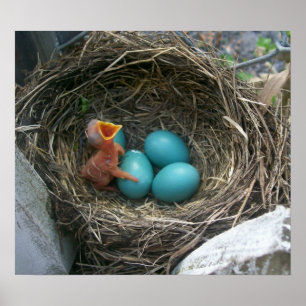 Poster La nouvelle arrivée du printemps