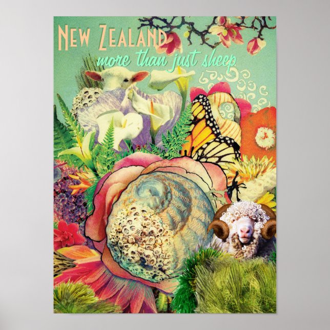 Poster La Nouvelle-Zélande plus que juste des moutons (Devant)
