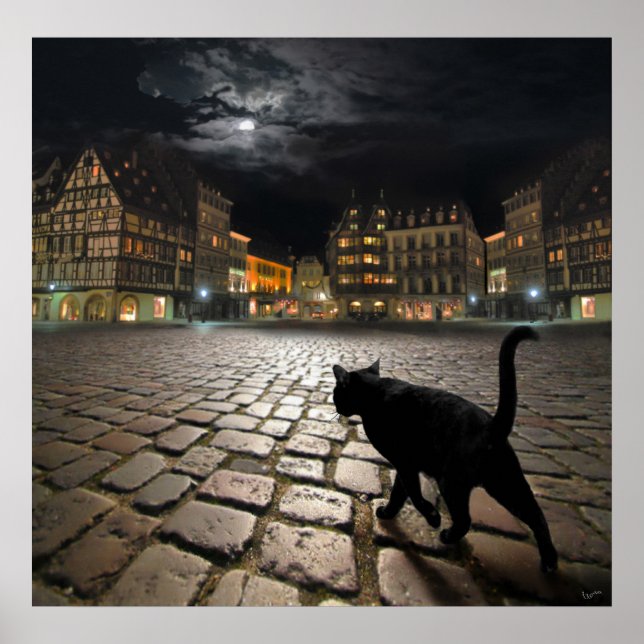 Poster La nuit de Strasbourg (Devant)