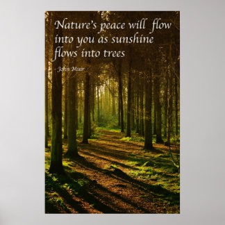 Poster 'La paix de la nature va couler dans vous' J Muir