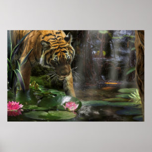 POSTER LA PAIX DE TIGER WILD