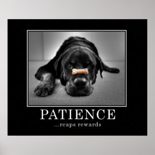 Poster La "patience récolte des récompenses "