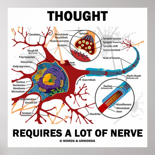 Poster La Pensée Nécessite Beaucoup De Nerve (Neuron / Sy (Devant)