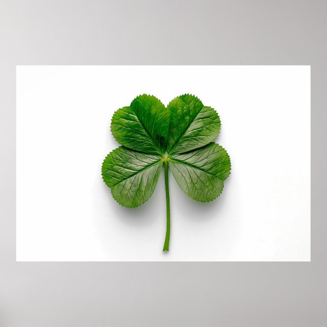 Poster La perfection de la nature : la symétrie d'une feu (Devant)