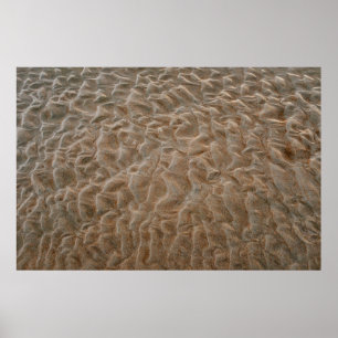 Poster La plage de Daytona