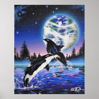 Poster La plaine du ciel