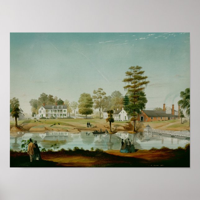 Poster La Plantation Olivier, 1861 (Devant)