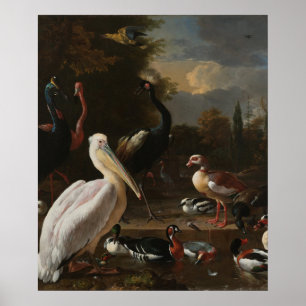 Poster La plume flottante