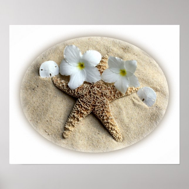 Poster La Plumeria de Starfish Shells sur le sable (Devant)