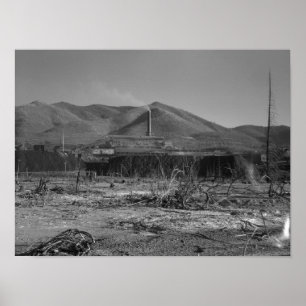 Poster La plus grande mine de plomb au monde - Kellogg