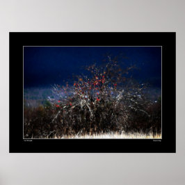 Poster La pomme sauvage