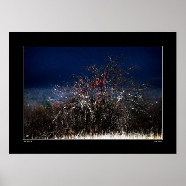 Poster La pomme sauvage (Devant)