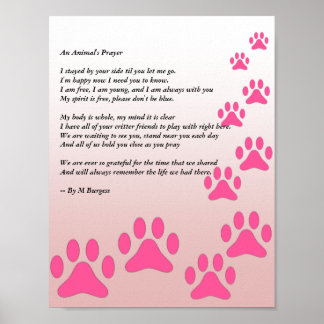 Poster La prière d'un animal - Paws roses -