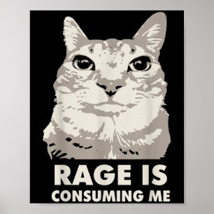 Poster La rage me consomme Mème de chat en colère Sarcasm
