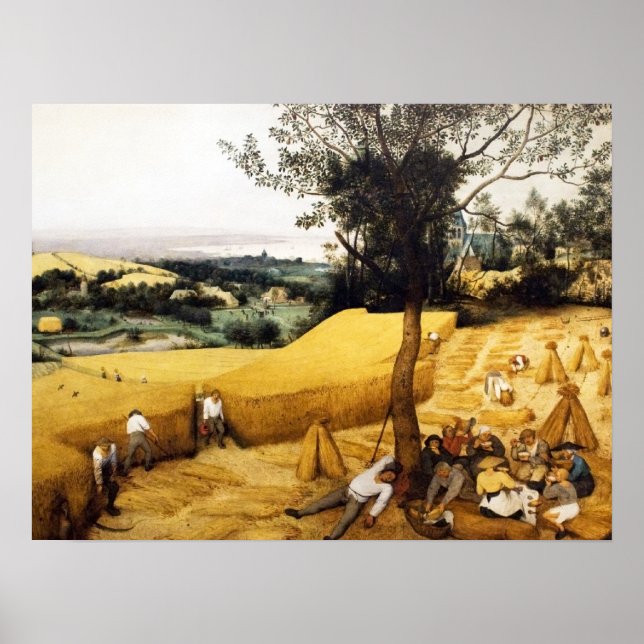 Poster La récolte de maïs - 1565 (Devant)