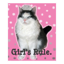 Poster "La Règle de la fille" Cat Tiara