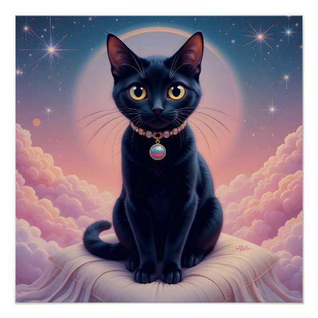 Poster La Reine Du Ciel De Chat Noir (Devant)