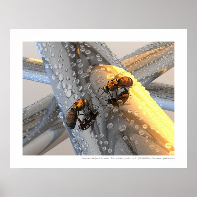 Poster La rencontre - La réunion (version en or) (Devant)