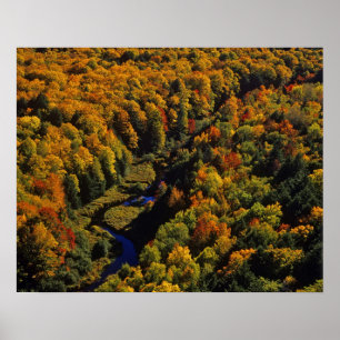 Poster La rivière Big Carp en automne à Porcupine