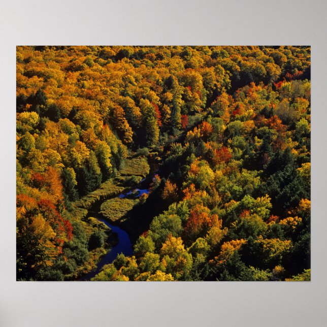 Poster La rivière Big Carp en automne à Porcupine (Devant)