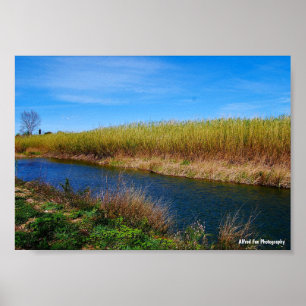 Poster La rivière Túria