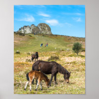 La roche de Pony Haytor dans le parc national de D