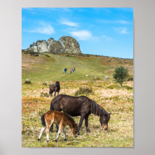 Poster La roche de Pony Haytor dans le parc national Devo
