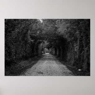 Poster La route foncée