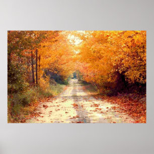 Poster La route moins a voyagé