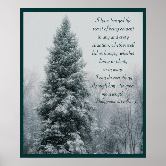 Poster La scène secrète de l'hiver chrétien (Devant)