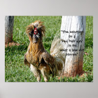 La solution à un mauvais Humour de la journée des 