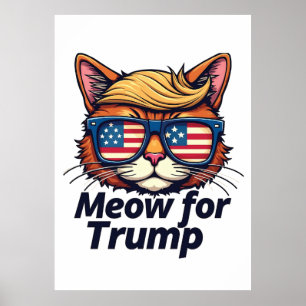 Poster La stratégie de Trump pour une nouvelle élection s